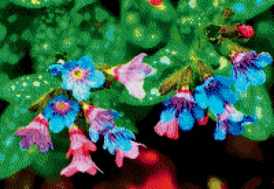 Буйство цвета - предпросмотр