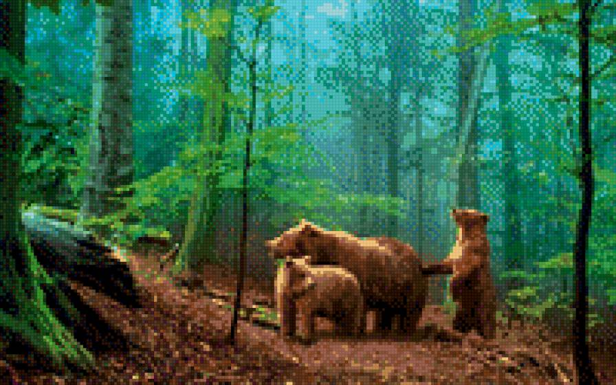 Три медведя - предпросмотр