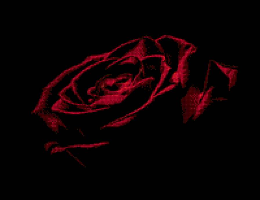 Роза красная - предпросмотр