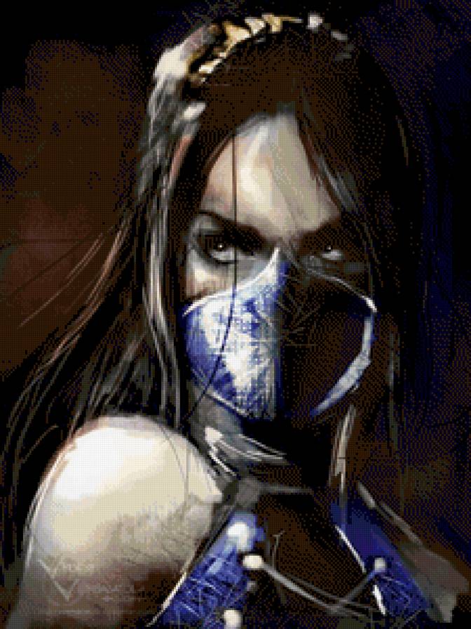 Девушка-ассасин - ассасин, воительница, девушка, воин - предпросмотр