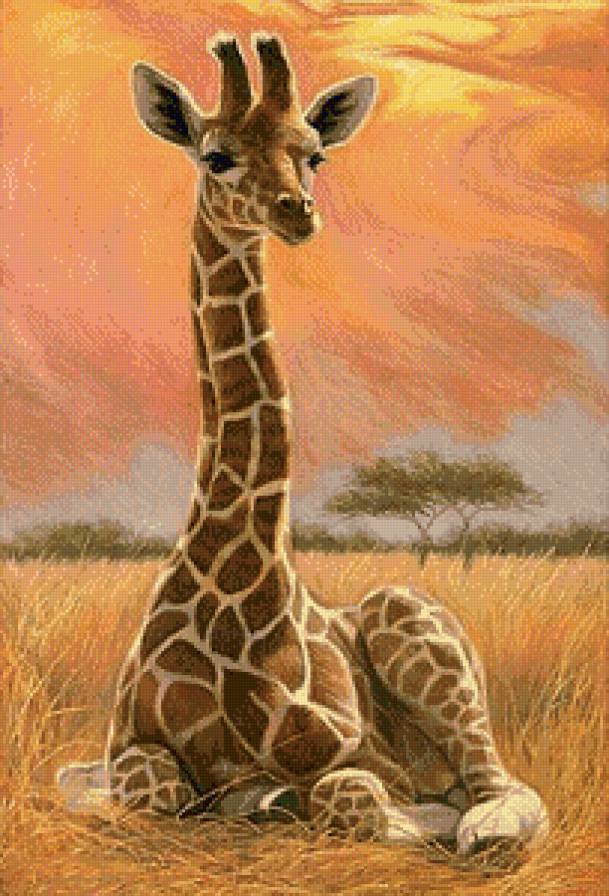 Серия "Дикая природа" - жираф, саванна, животные - предпросмотр