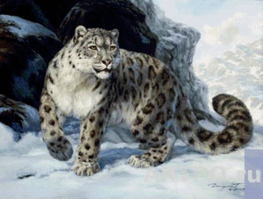 Барсик снежный - кот, барс, хищник - предпросмотр