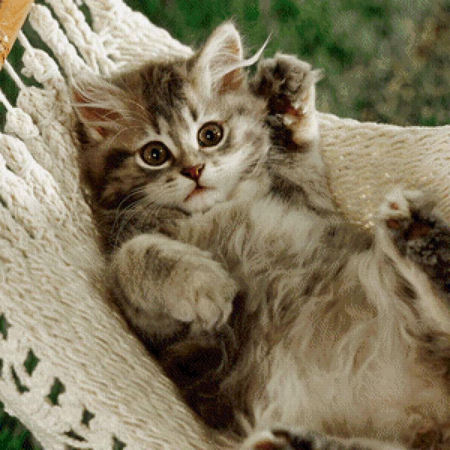 Милый малыш - милашки, котята, малыши - предпросмотр