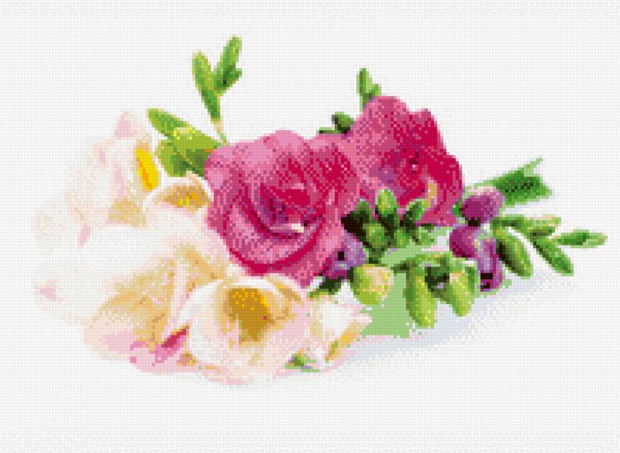 Фрезии - фрезии, цветы - предпросмотр