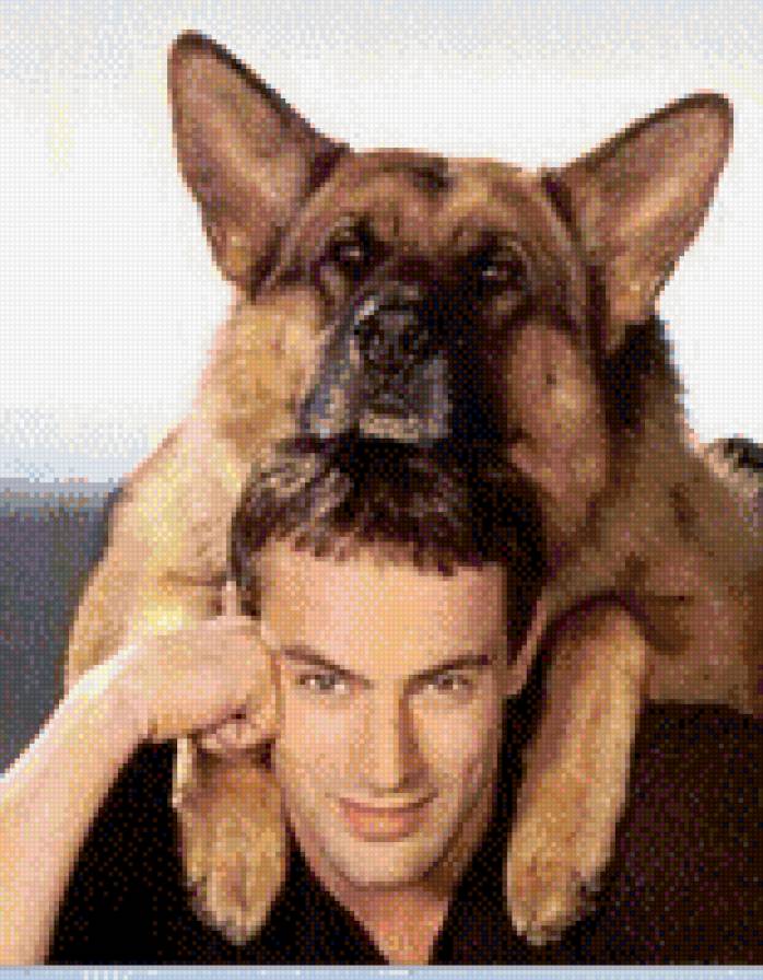 комиссар Рэкс - предпросмотр