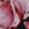 Предпросмотр схемы вышивки «букет роз» (№967276)