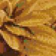 Предпросмотр схемы вышивки «хризантемы» (№967323)