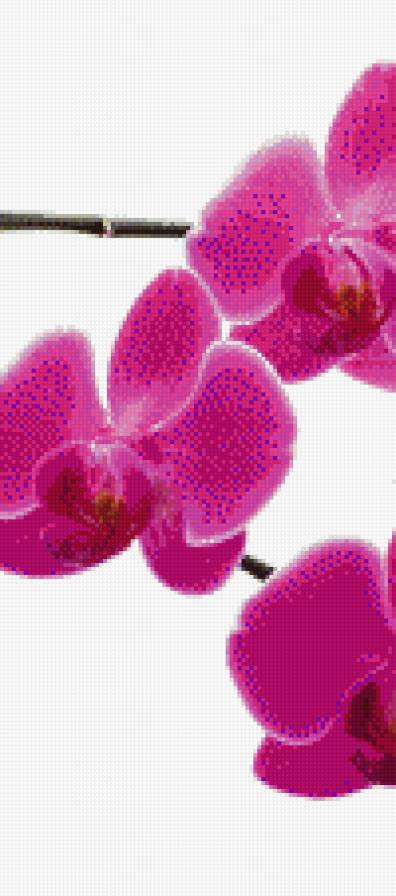 триптих2 - предпросмотр