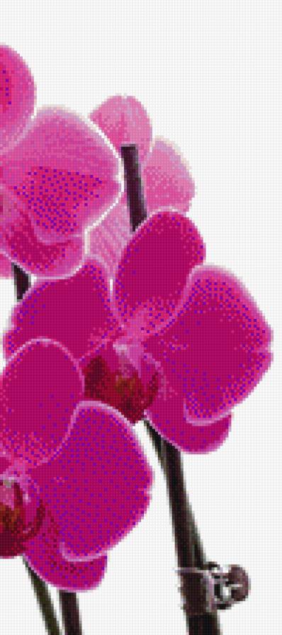 триптих3 - предпросмотр