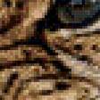 Предпросмотр схемы вышивки «Леопард 4» (№967469)
