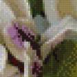 Предпросмотр схемы вышивки «магнолия» (№967505)