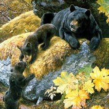 Медведи в осеннем лесу.