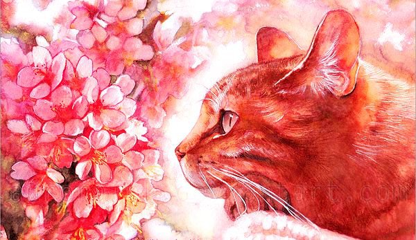 кот и цветы - цветы, рисунок, животные, кот, весна, кошка - оригинал