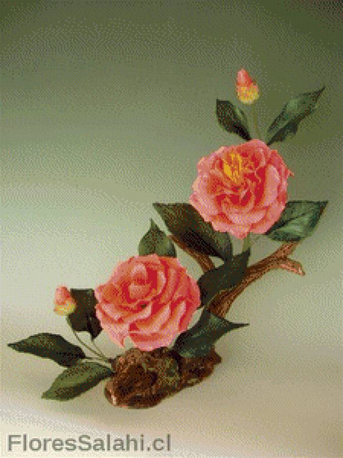 серия "розы" - цветы.розы - предпросмотр