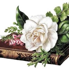 Схема вышивки «№967907»