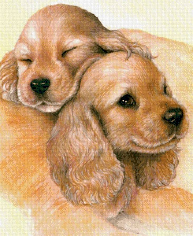 Серия "Домашние любимцы" - собачки, животные, парочка, щенки - предпросмотр