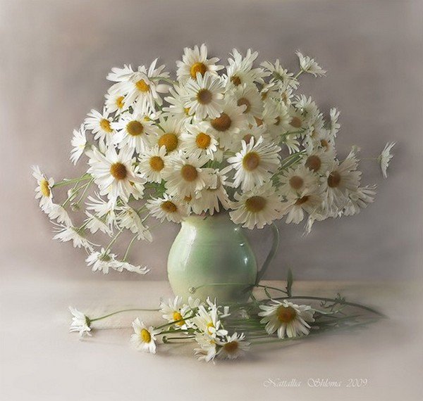 ромашки - натюрморт, ромашки, букет, цветы - оригинал