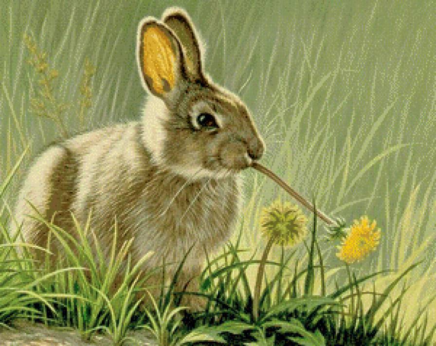 Серия "Дикая природа" - заинька, лето, одуванчики, цветы, зайка, травка - предпросмотр