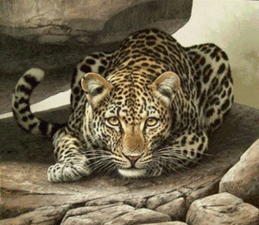 Серия "Дикая природа" - отдых, леопард, дикие кошки, природа, взгляд - предпросмотр