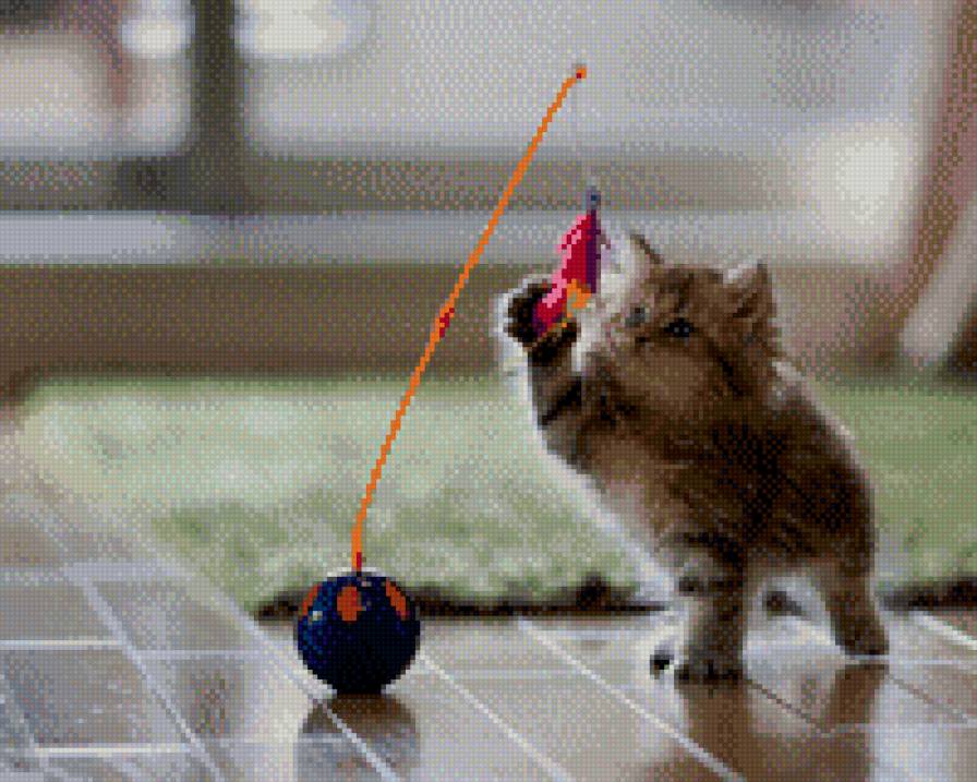 киса - кошки - предпросмотр