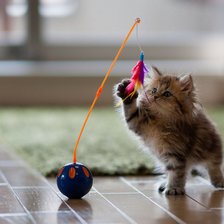 Схема вышивки «киса»