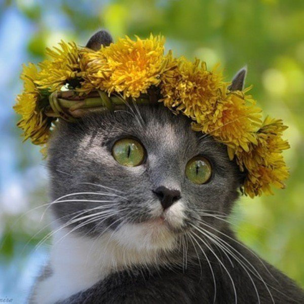 №968589 - оригинал