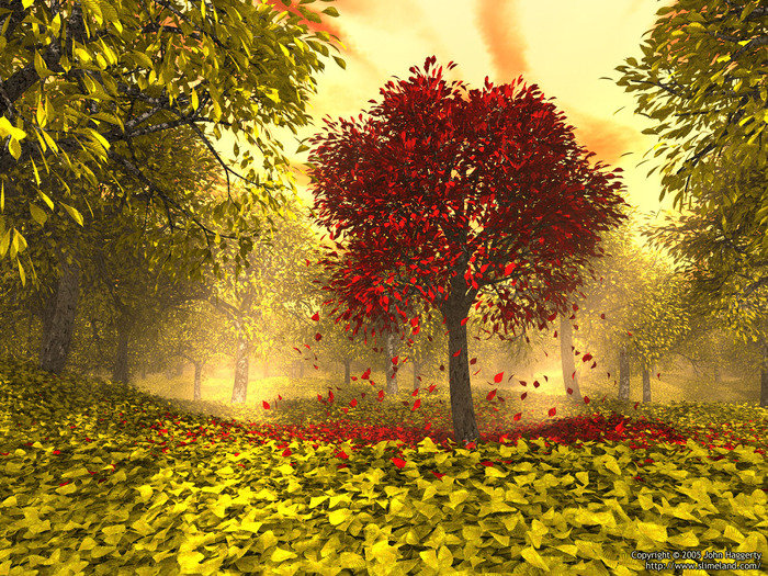 №968592 - оригинал