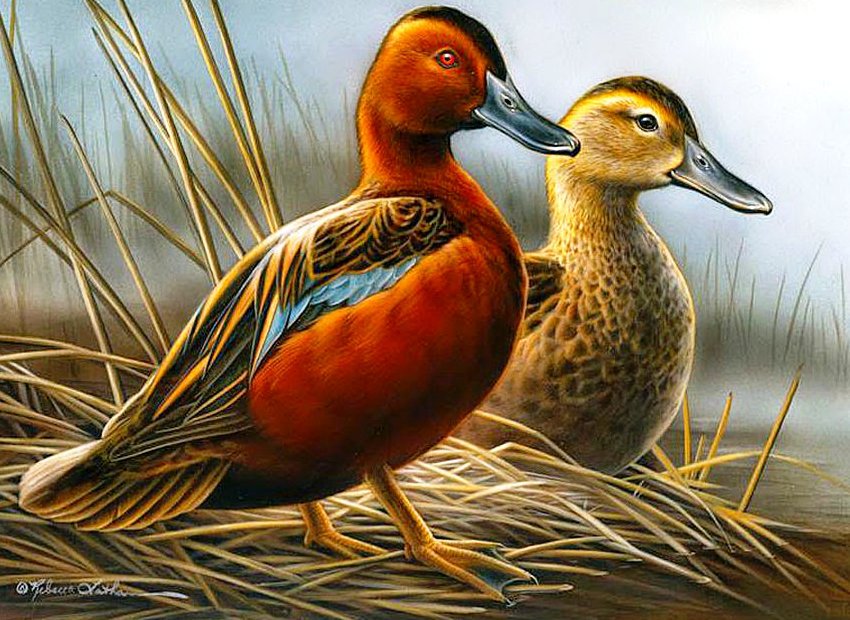 №968704 - оригинал