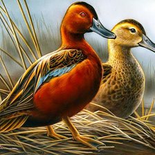 Схема вышивки «№968704»