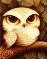 Совенок - птицы - оригинал