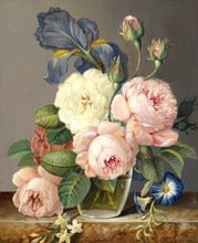 Пионы - цветы - оригинал