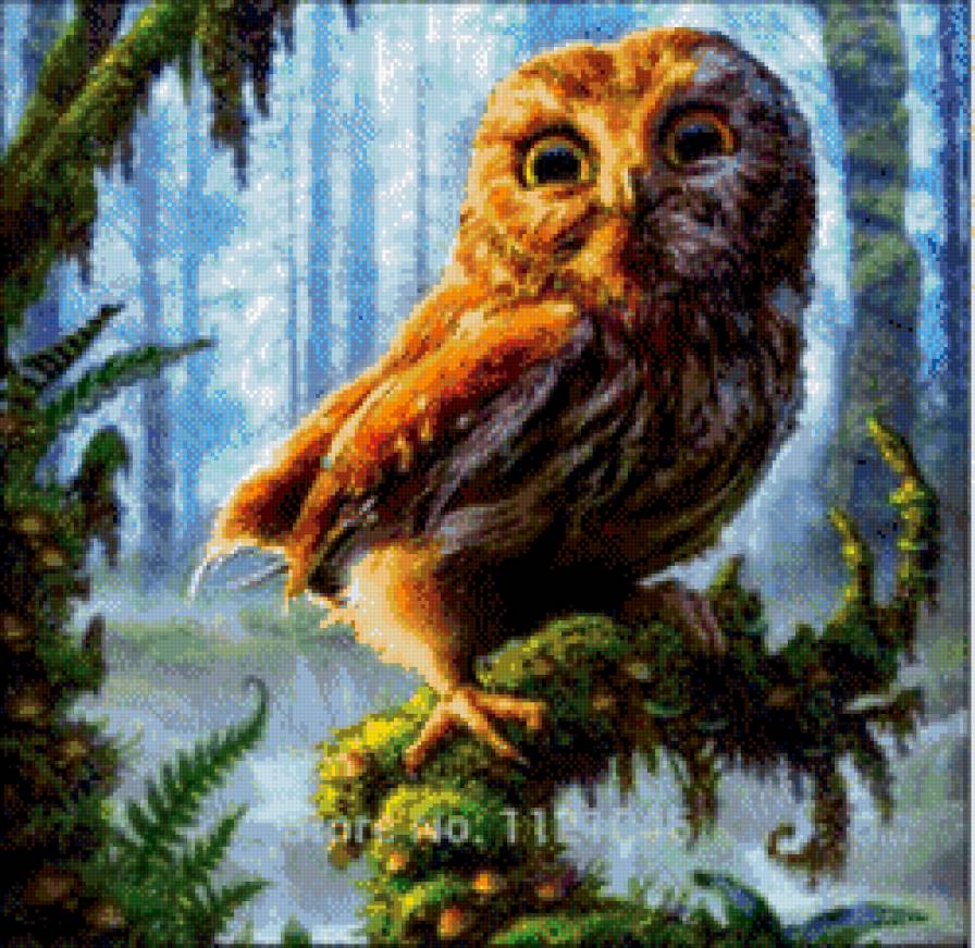 Совушка - птицы - предпросмотр