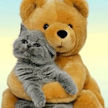 Схема вышивки «котик»