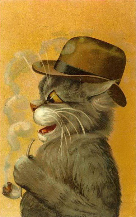 кот - оригинал