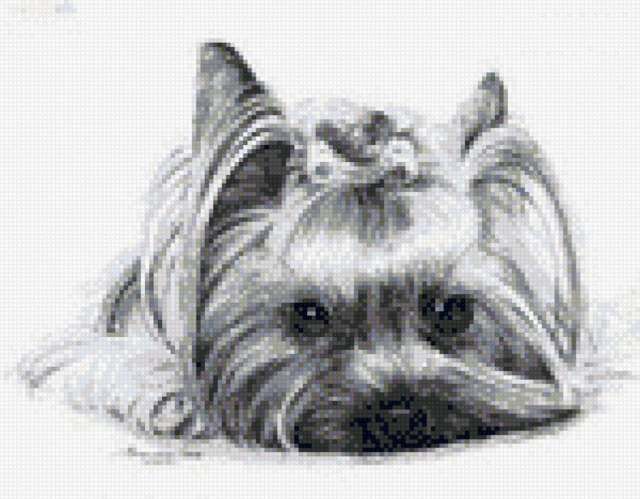 Милая собачка - предпросмотр