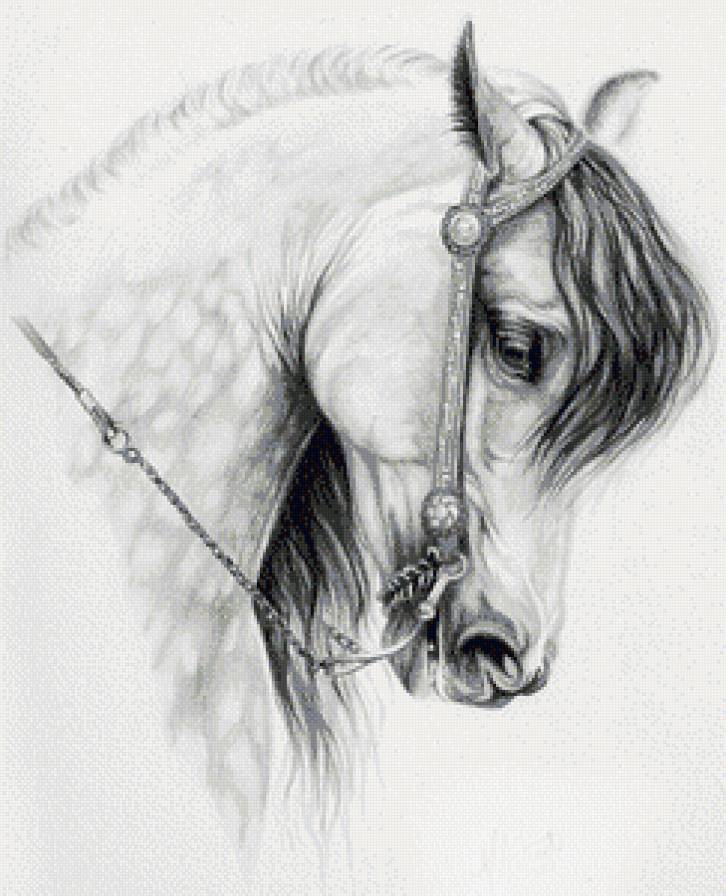Серия "Лошади, кони" - животные, портрет - предпросмотр