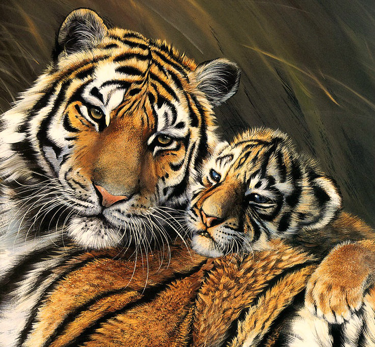 Серия "Дикая природа" - тигр, тигренок, мать и дитя, тигрица, нежность - оригинал