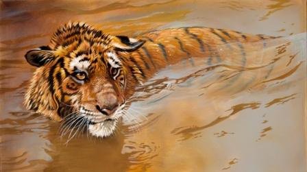 Серия "Дикая природа" - отражение, тигр, вода, плавание - оригинал