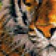 Предпросмотр схемы вышивки «тигр» (№970001)