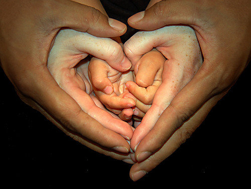 сердце руками - руки, сердце, семья - оригинал