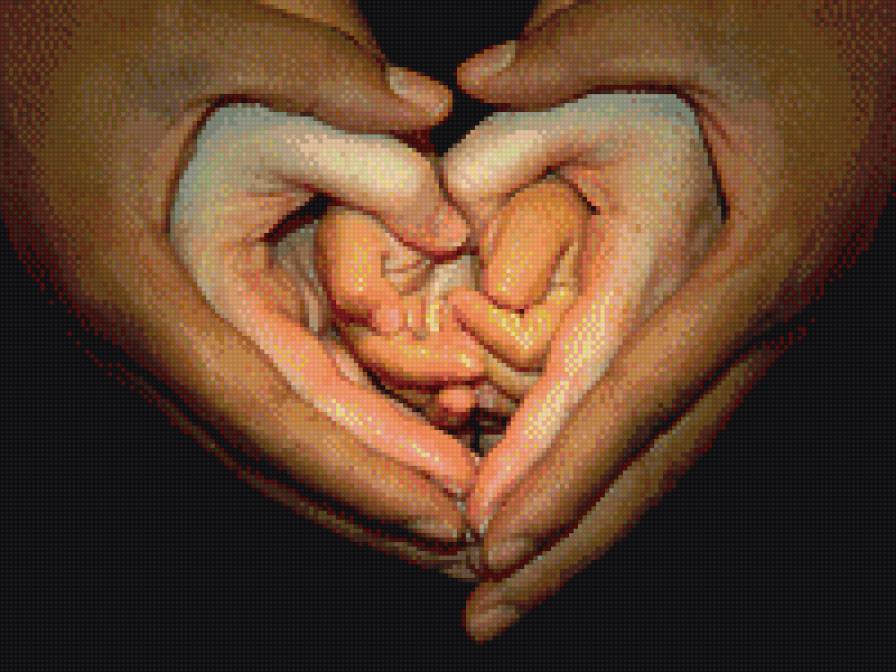 сердце руками - семья, руки, сердце - предпросмотр