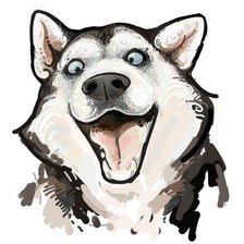 Веселая лайка