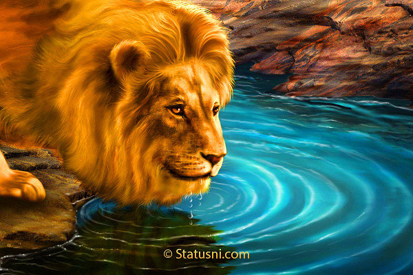 лев - вода, животные - оригинал