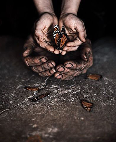 Жизнь в руках - оригинал