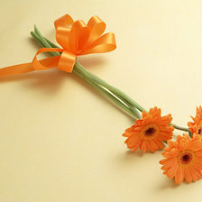 Схема вышивки «Герберы»