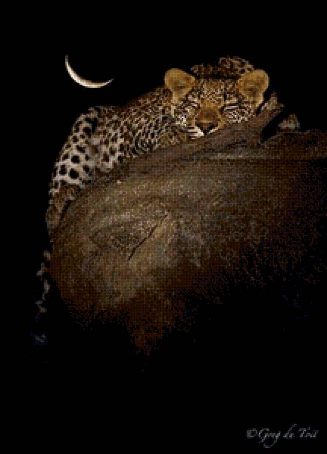 сладкий сон - фауна - предпросмотр