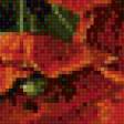 Предпросмотр схемы вышивки «панно "маки с ежевикой"» (№970707)