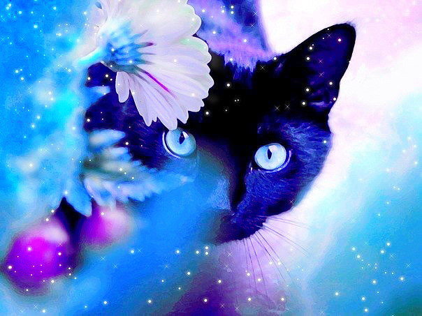 Кот в цветах - оригинал