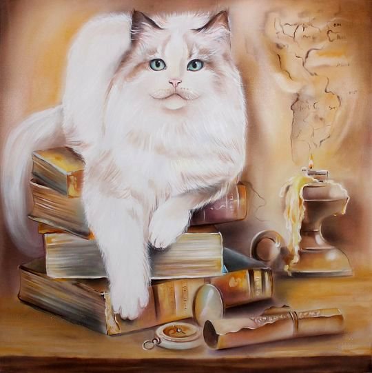 Кот путешественника - домашние животные, кот, книги - оригинал