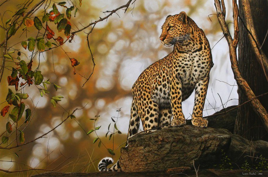 гипард - оригинал